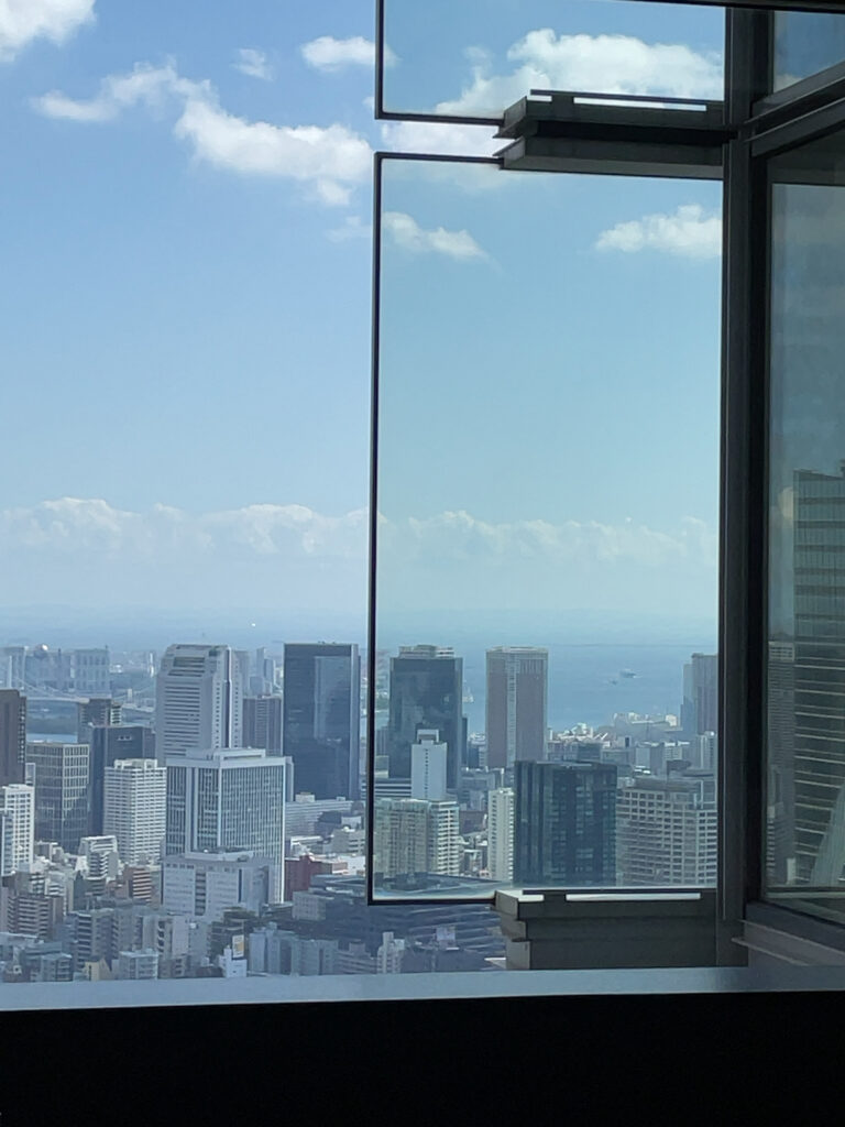 ザ・リッツ・カールトン東京　タワーズからの眺め